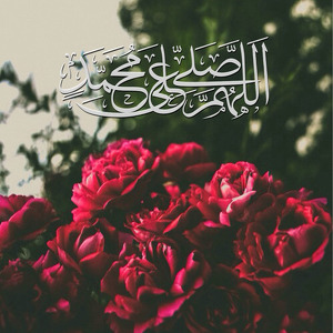 Fundraising Page: A'ishah Crawford